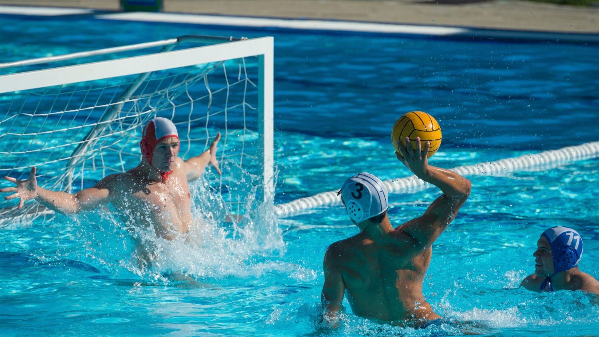 Dive into the Game with the Best Water Polo Balls